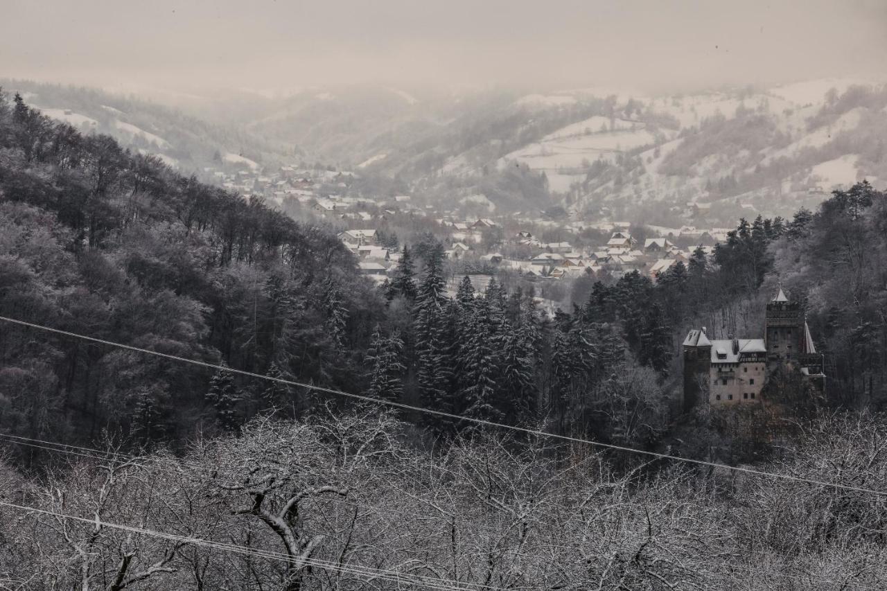 Contele Vladimir Hotel Bran  Bagian luar foto